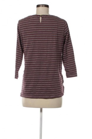 Damen Shirt Fat Face, Größe M, Farbe Rot, Preis € 15,99