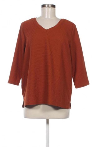 Γυναικεία μπλούζα Fransa, Μέγεθος L, Χρώμα Καφέ, Τιμή 5,26 €