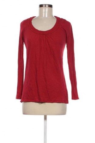 Damen Shirt Gap Maternity, Größe S, Farbe Rot, Preis € 3,99