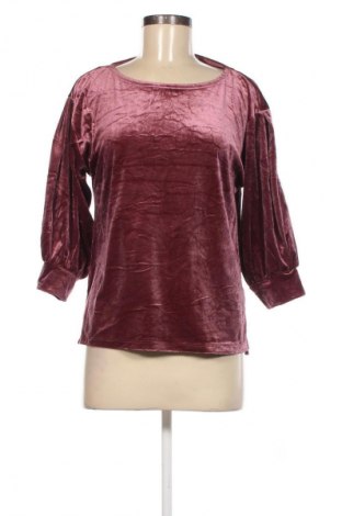 Damen Shirt Hema, Größe M, Farbe Lila, Preis € 3,99