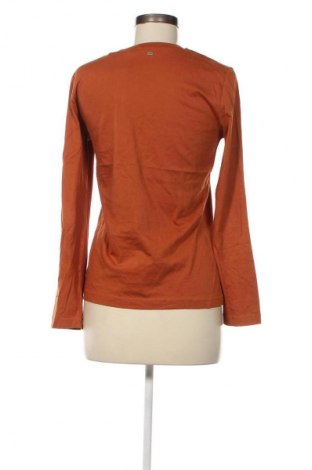 Damen Shirt Jbc, Größe M, Farbe Braun, Preis € 3,99