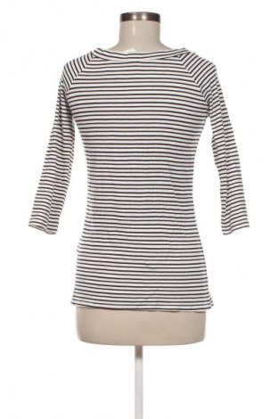 Damen Shirt Laura Torelli, Größe M, Farbe Mehrfarbig, Preis € 4,49