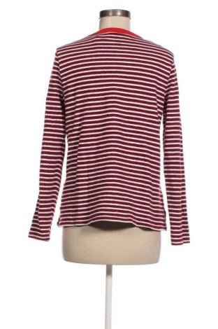 Damen Shirt Marks & Spencer, Größe M, Farbe Mehrfarbig, Preis 6,49 €