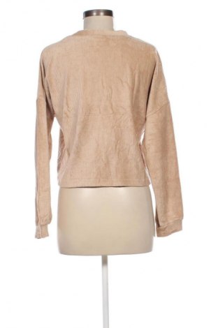 Damen Shirt Miss Selfridge, Größe L, Farbe Beige, Preis € 2,99