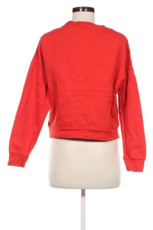 Damen Shirt Pigalle, Größe S, Farbe Orange, Preis 2,99 €