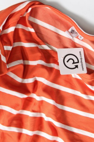 Damen Shirt Pota, Größe XL, Farbe Orange, Preis € 4,99