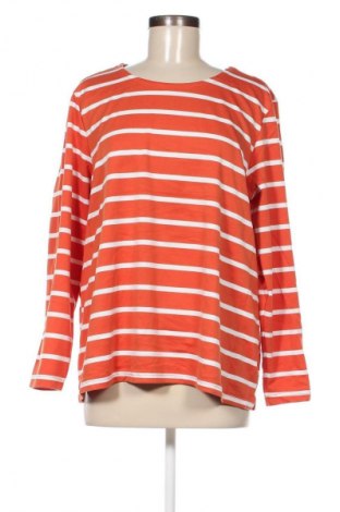 Γυναικεία μπλούζα Pota, Μέγεθος XL, Χρώμα Πορτοκαλί, Τιμή 4,70 €