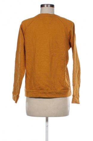 Damen Shirt Pull&Bear, Größe M, Farbe Braun, Preis € 3,99