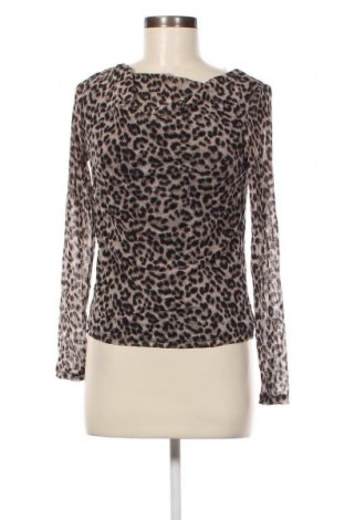Γυναικεία μπλούζα S.Oliver, Μέγεθος XS, Χρώμα Πολύχρωμο, Τιμή 11,57 €
