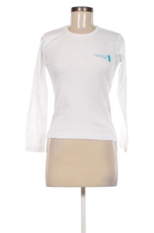 Γυναικεία μπλούζα Stedman, Μέγεθος S, Χρώμα Λευκό, Τιμή 5,29 €