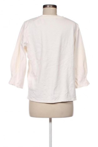 Damen Shirt Tom Tailor, Größe XL, Farbe Ecru, Preis 23,66 €