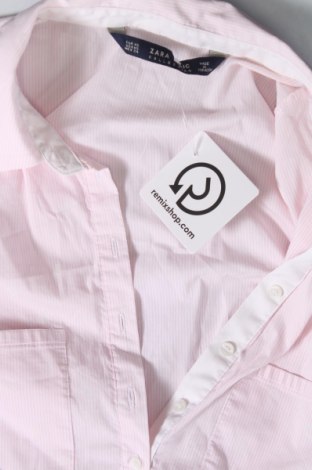 Damen Shirt Zara, Größe XS, Farbe Rosa, Preis € 5,12