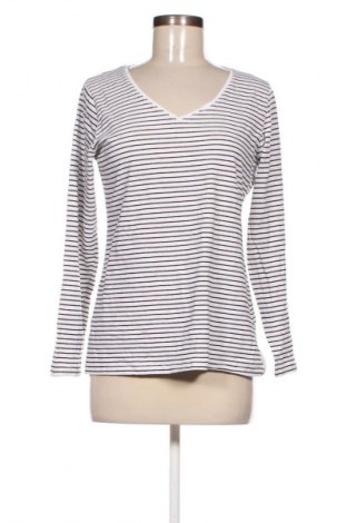 Damen Shirt Zeeman, Größe XL, Farbe Mehrfarbig, Preis € 4,99