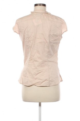 Damenbluse H&M, Größe L, Farbe Beige, Preis € 5,99