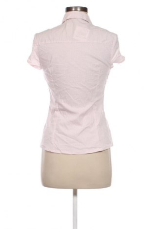 Damenbluse Orsay, Größe S, Farbe Rosa, Preis € 5,99