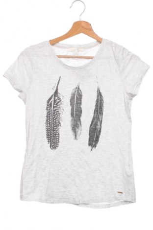 Damen T-Shirt Tom Tailor, Größe XS, Farbe Grau, Preis 21,38 €