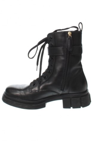 Damen Stiefeletten Tommy Hilfiger, Größe 39, Farbe Schwarz, Preis € 208,49