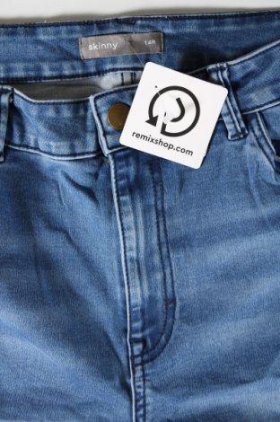 Damen Jeans Nutmeg, Größe L, Farbe Blau, Preis 8,07 €