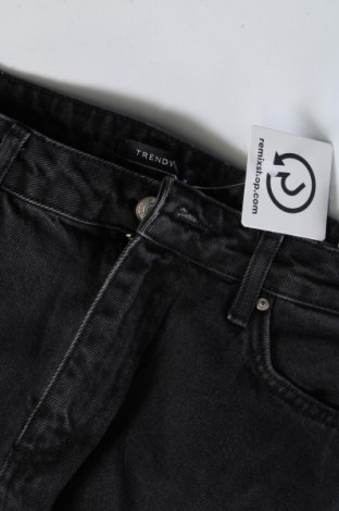 Damen Jeans Trendyol, Größe M, Farbe Grau, Preis € 7,99