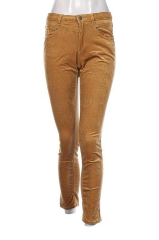 Damen Cordhose Esprit, Größe S, Farbe Gelb, Preis € 5,99