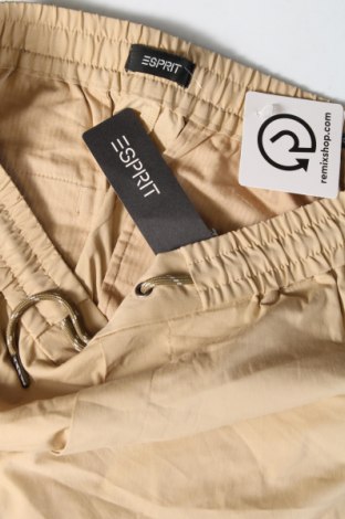 Γυναικείο κοντό παντελόνι Esprit, Μέγεθος L, Χρώμα  Μπέζ, Τιμή 39,69 €