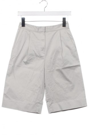 Damen Shorts Massimo Dutti, Größe XS, Farbe Grau, Preis 26,60 €