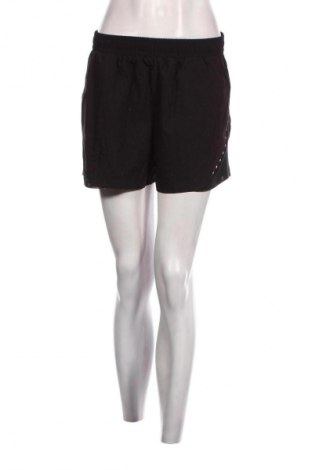 Damen Shorts SHEIN, Größe L, Farbe Schwarz, Preis 5,55 €