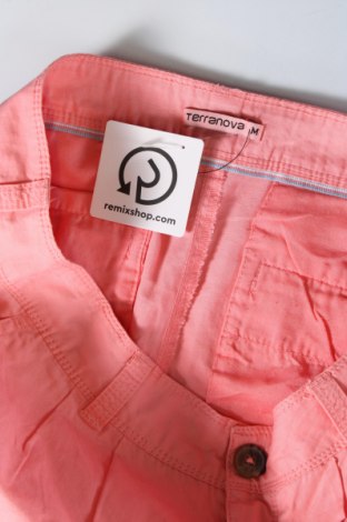 Damen Shorts Terranova, Größe M, Farbe Rosa, Preis € 7,68