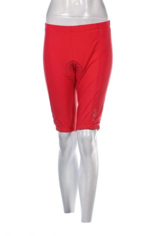 Damen Leggings CMP, Größe L, Farbe Rot, Preis 5,64 €