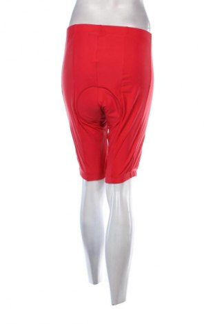 Damen Leggings CMP, Größe L, Farbe Rot, Preis € 3,49