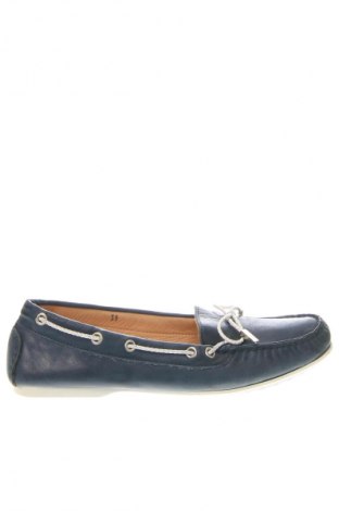 Γυναικεία παπούτσια Pasito, Μέγεθος 39, Χρώμα Μπλέ, Τιμή 57,23 €