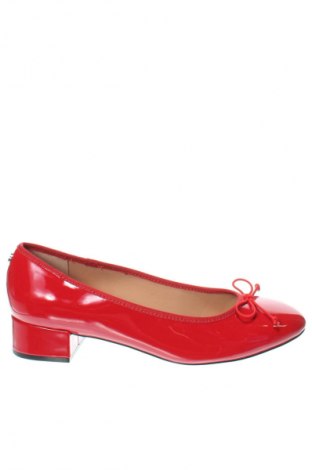 Damenschuhe Steve Madden, Größe 42, Farbe Rot, Preis 88,66 €