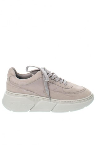 Damenschuhe Tommy Hilfiger, Größe 36, Farbe Grau, Preis € 105,49