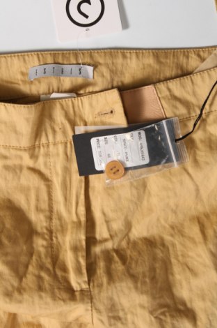 Damenhose, Größe XL, Farbe Beige, Preis 15,99 €