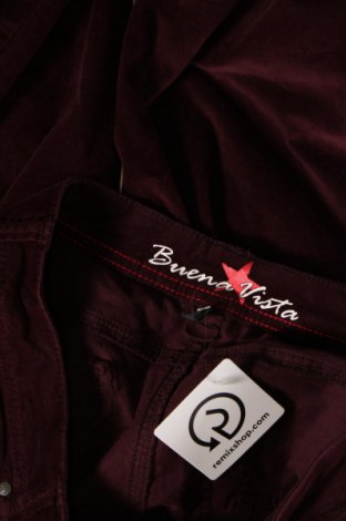 Damenhose Buena Vista, Größe S, Farbe Lila, Preis € 4,99