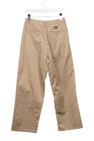 Damenhose Element, Größe XS, Farbe Beige, Preis € 33,99