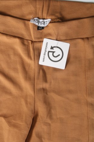 Damenhose Esprit, Größe M, Farbe Braun, Preis € 3,99