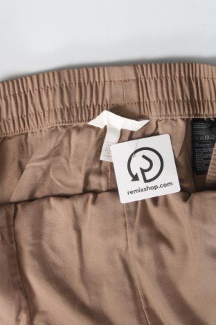 Damenhose H&M, Größe XL, Farbe Beige, Preis € 5,99