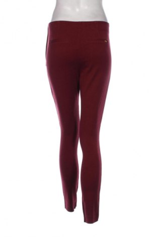 Damenhose Hampton Republic, Größe S, Farbe Rot, Preis € 3,99