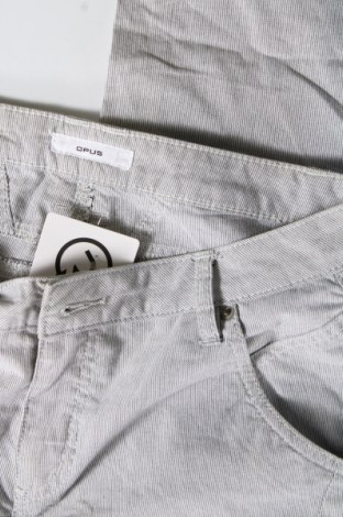 Damenhose Opus, Größe S, Farbe Mehrfarbig, Preis € 11,99