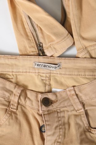 Damenhose Terranova, Größe XS, Farbe Beige, Preis 2,99 €