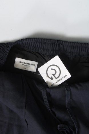 Pantaloni de femei These Glory Days, Mărime L, Culoare Albastru, Preț 223,68 Lei