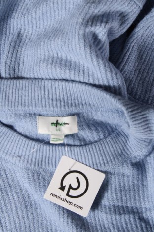 Damenpullover Aerie, Größe L, Farbe Blau, Preis € 7,49