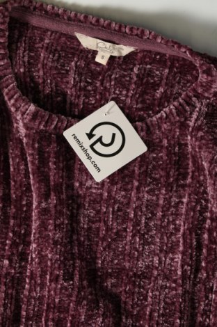 Damenpullover Clockhouse, Größe S, Farbe Lila, Preis € 7,49