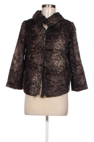 Γυναικείο παλτό Marks & Spencer, Μέγεθος M, Χρώμα Καφέ, Τιμή 21,09 €