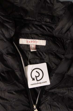 Damenjacke Esprit, Größe S, Farbe Schwarz, Preis € 23,99