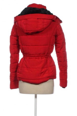 Damenjacke Haily`s, Größe XS, Farbe Rot, Preis 23,99 €