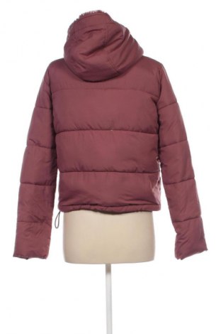 Damenjacke Hollister, Größe S, Farbe Aschrosa, Preis € 20,99