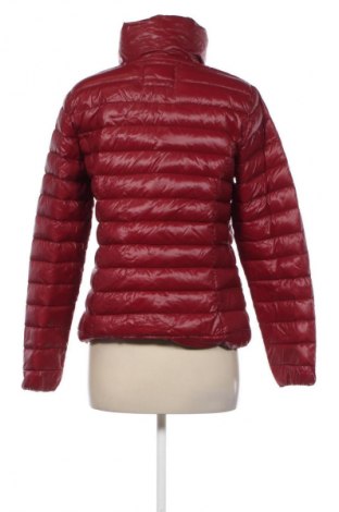 Damenjacke Holly & Whyte By Lindex, Größe M, Farbe Rot, Preis € 12,08