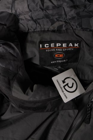 Dámska bunda  Icepeak, Veľkosť M, Farba Sivá, Cena  7,95 €